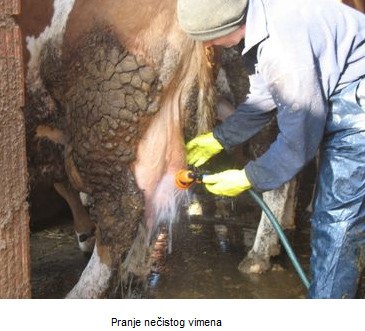Higijena mleka 1
