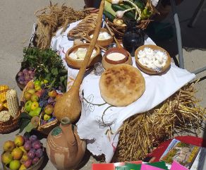 Uslovi za proizvodnju sira2